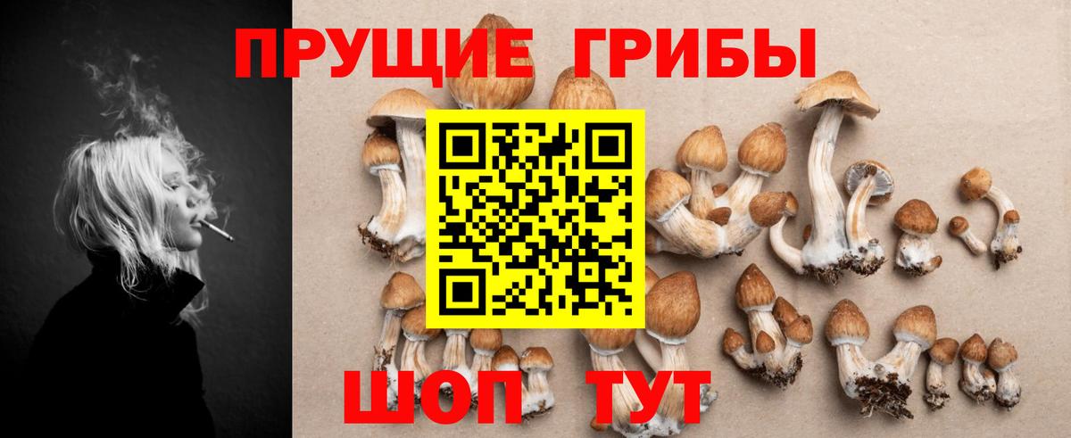 Галлюциногенные грибы прущие грибы Копейск