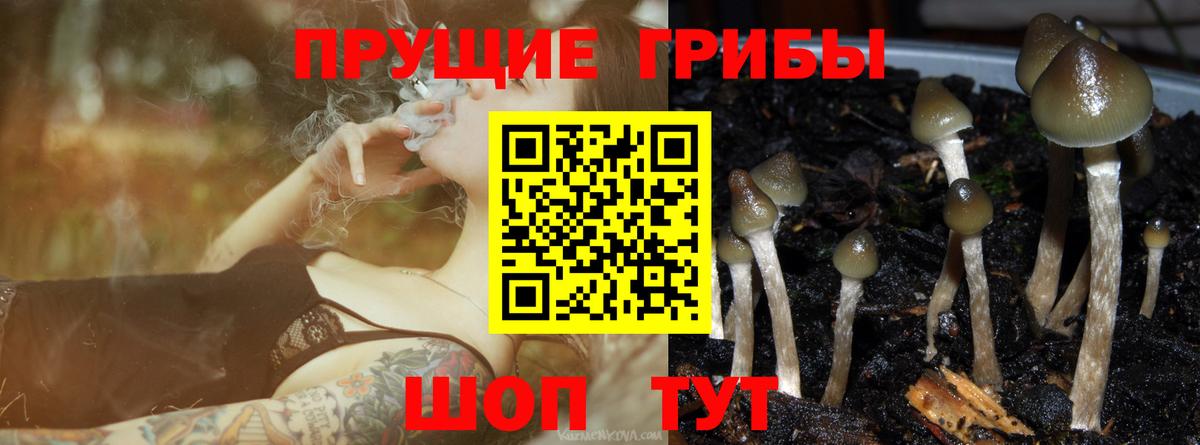 Копейск  Псилоцибиновые грибы Magic Shrooms  Галлюциногенные грибы Psilocybe  Вход с VPN 